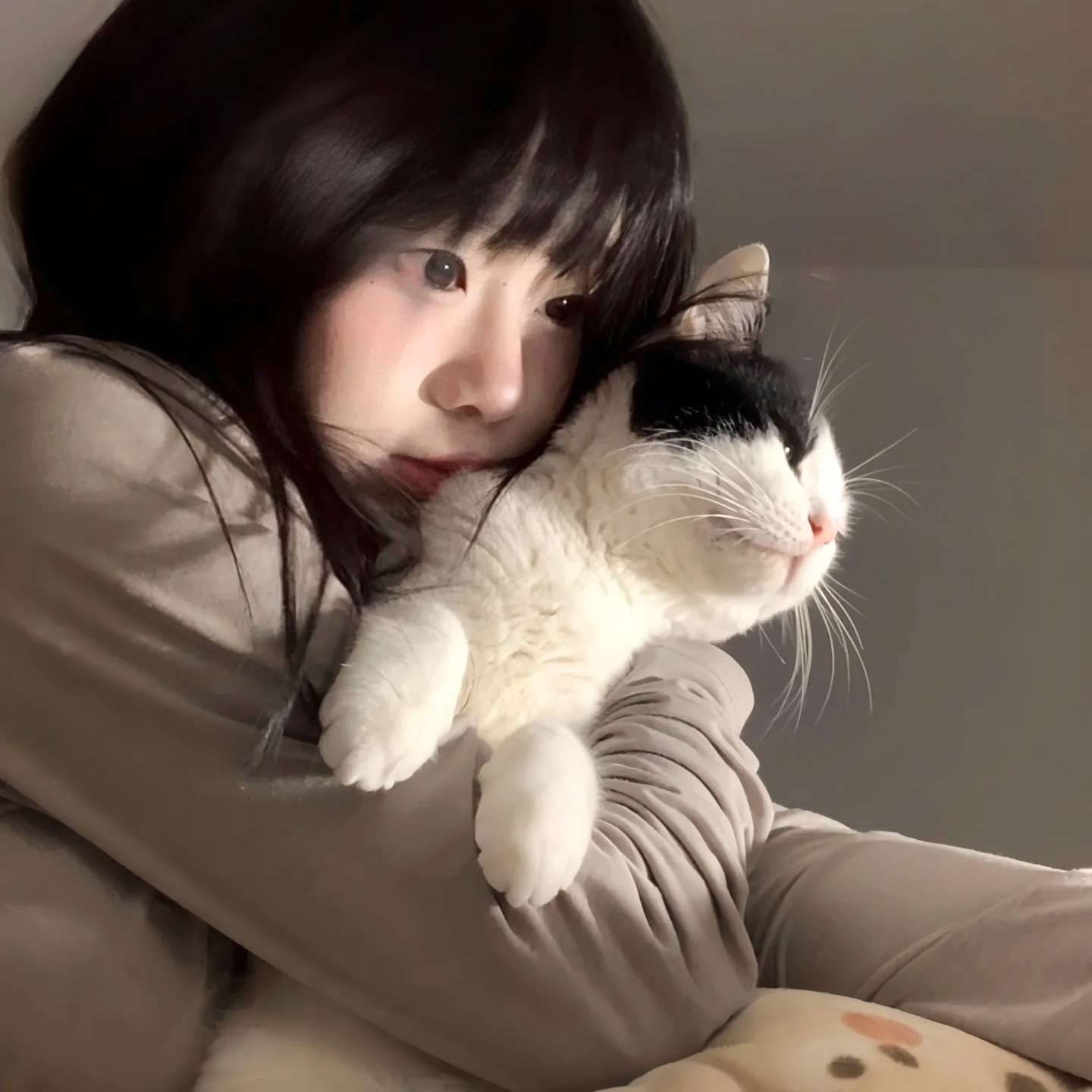 Staffordshire Bull Terrier